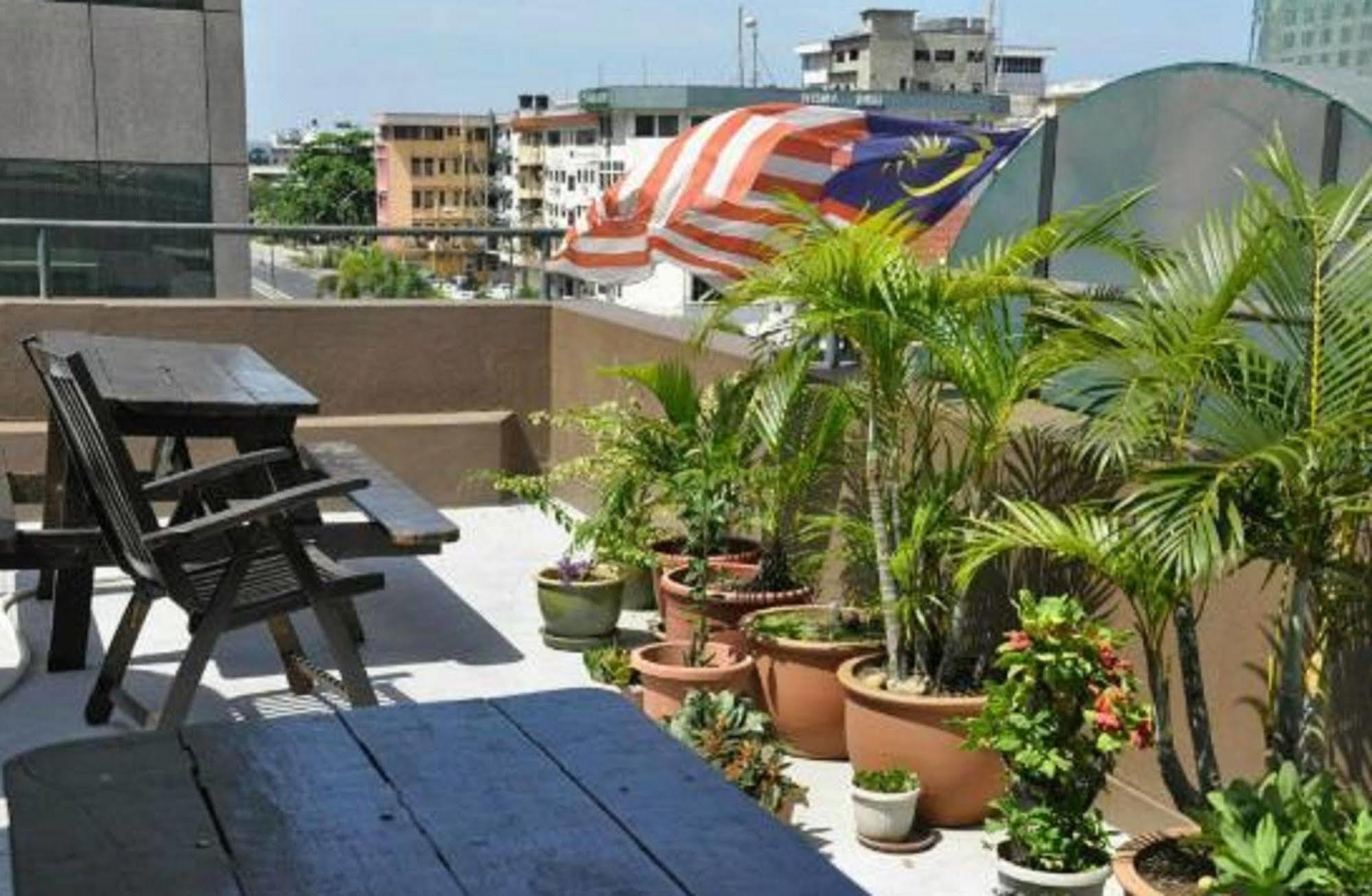Borneo Backpackers Vandrehjem Kota Kinabalu Eksteriør billede